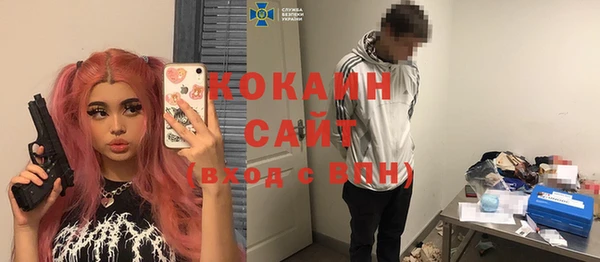 крисы Баксан