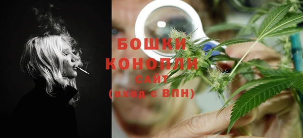 крисы Баксан