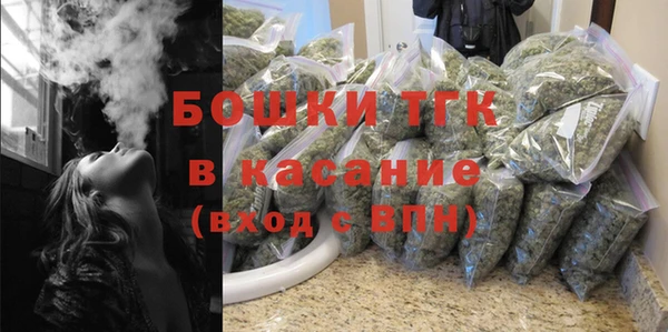 крисы Баксан