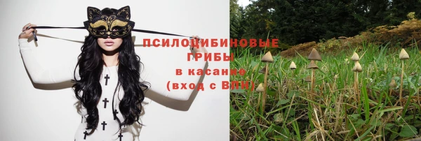 крисы Баксан