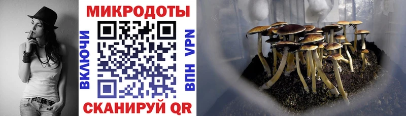 Галлюциногенные грибы ЛСД закладки Озёры