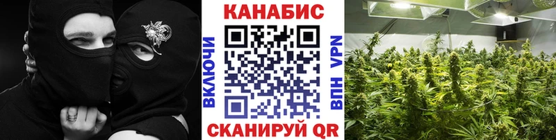МАРИХУАНА Amnesia  Озёры 